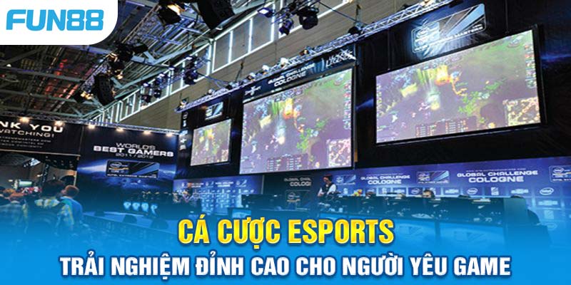 Trải Nghiệm Cá Cược Esports Chuyên Nghiệp Tại Fun88